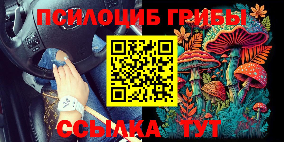 наркотики  Псилоцибиновые грибы прущие грибы  Гусиноозёрск  Вход с VPN  Галлюциногенные грибы мицелий 